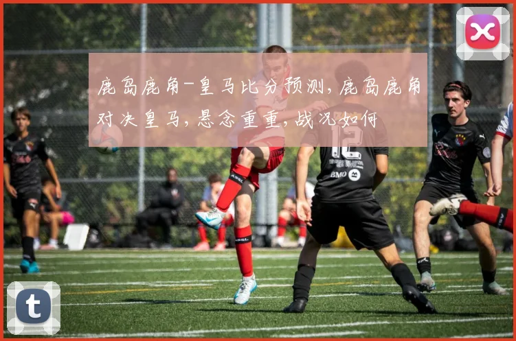 鹿岛鹿角-皇马比分预测,鹿岛鹿角对决皇马,悬念重重,战况如何