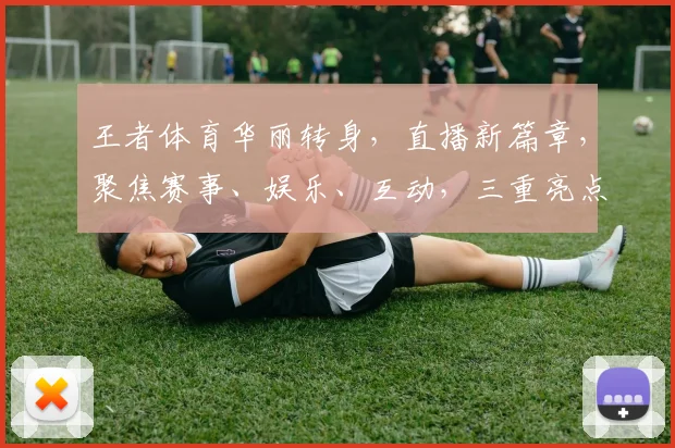 王者体育华丽转身，直播新篇章，聚焦赛事、娱乐、互动，三重亮点，不容错过