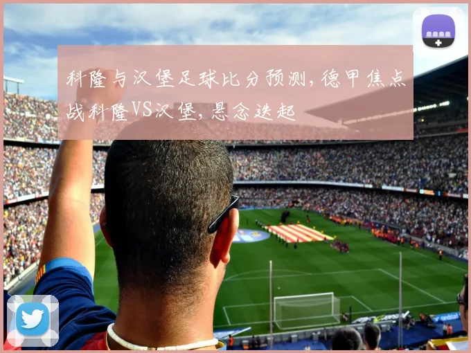 科隆与汉堡足球比分预测,德甲焦点战科隆VS汉堡,悬念迭起
